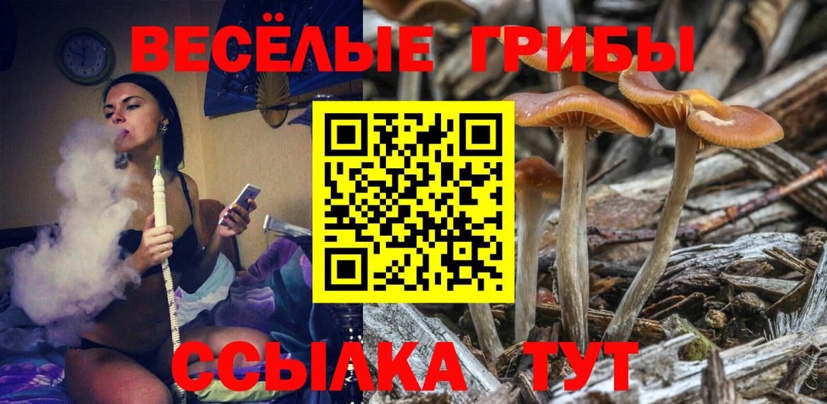 Мирный  Псилоцибиновые грибы GOLDEN TEACHER  Псилоцибиновые грибы GOLDEN TEACHER  Вход с VPN 